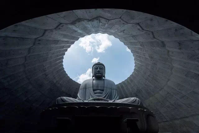 神圣的佛竟淹沒于薰衣草的花海中，安藤忠雄這次顛覆的不是設(shè)計而是信仰