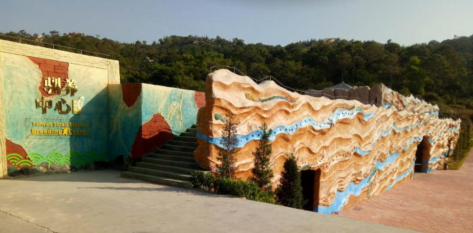 廣東惠東海龜國家級自然保護區(qū)管理局海龜馴養(yǎng)中心項目